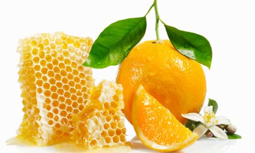 Cung cấp sỉ lẻ mật ong rừng u minh nguyên chất tốt nhất tại tphcm 08